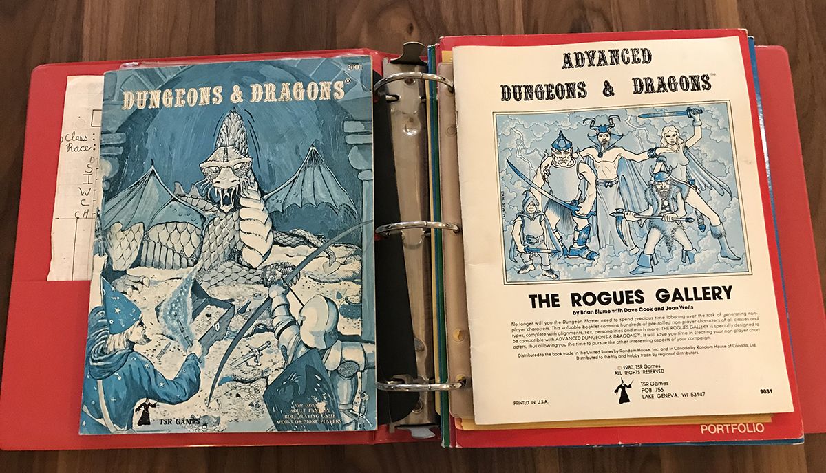 D&D rules and The Rogues Gallery